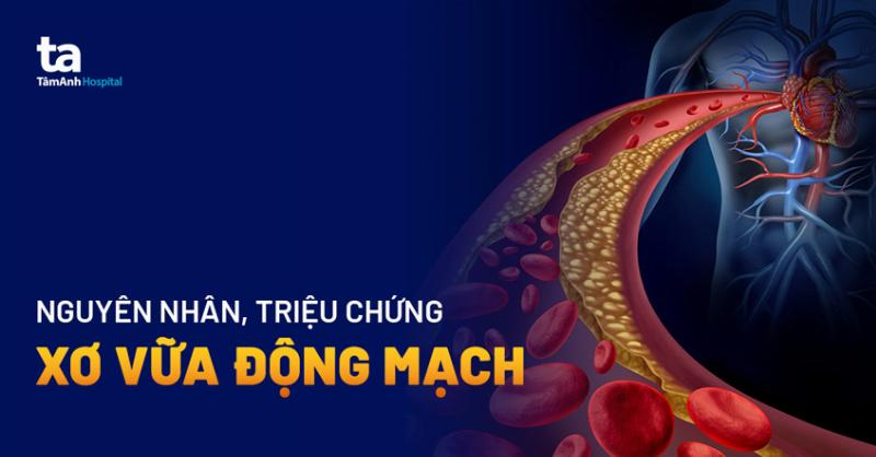 Hình minh họa các nguyên nhân phổ biến gây ra tình trạng huyết áp kẹt, như quả tim yếu, mạch máu bị xơ cứng, hoặc tình trạng mất máu
